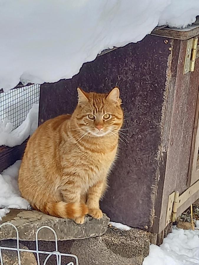 Ferienwohnungen Weberbauer Sankt Martin bei Lofer Bagian luar foto