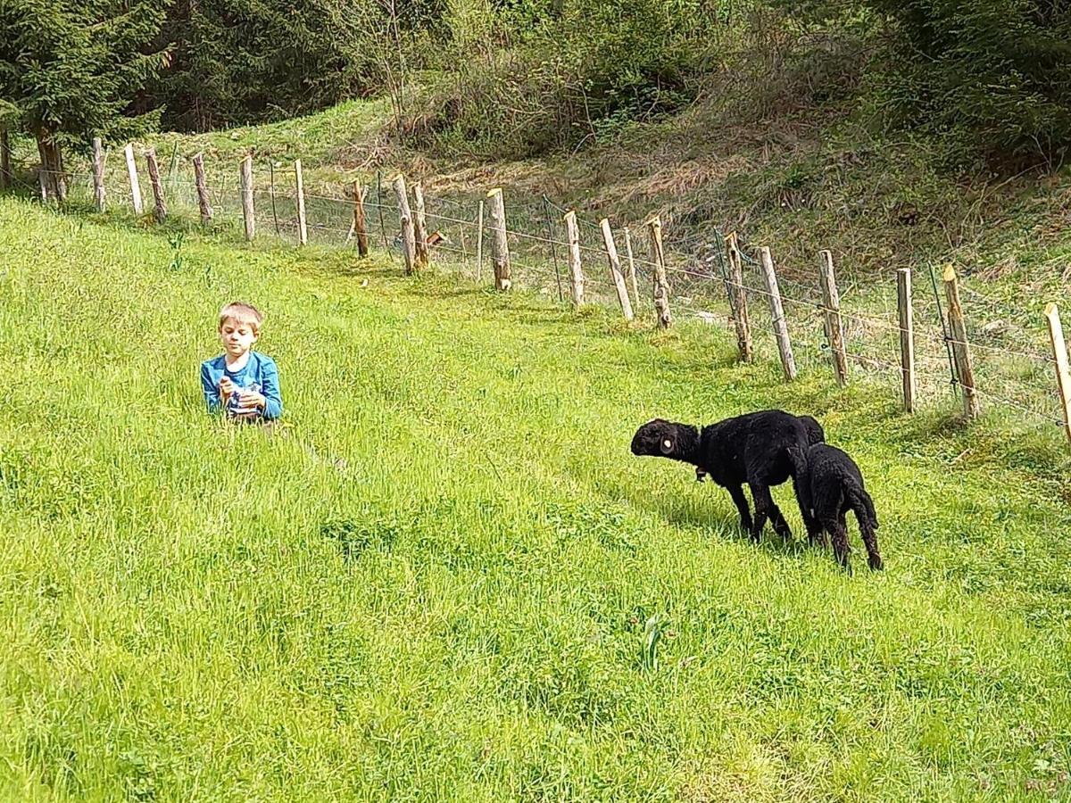 Ferienwohnungen Weberbauer Sankt Martin bei Lofer Bagian luar foto